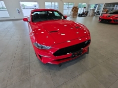 Used 2019  Ford Mustang GT Fastback at Maxx Loans near St&period; Adrian&comma; MI