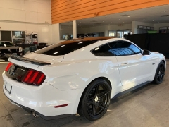 Used 2017  Ford Mustang GT Fastback at Maxx Loans near St. Adrian, MI