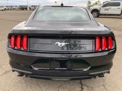 Used 2022 Ford Mustang EcoBoost Fastback at Suburban Ford of Sterling Heights near Sterling Heights, MI