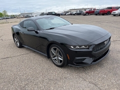 Used 2024 Ford Mustang EcoBoost Fastback at Suburban Ford of Sterling Heights near Sterling Heights, MI