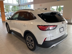 Used 2020 Ford Escape 4d SUV FWD SEL at Suburban Ford of Sterling Heights near Sterling Heights, MI