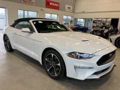 Used 2019  Ford Mustang EcoBoost Convertible at Maxx Loans near St. Adrian, MI