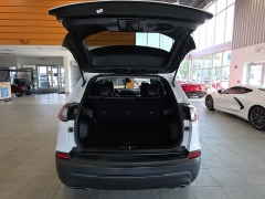 Used 2021  Jeep Cherokee Latitude Lux 4x4 at Maxx Loans near St&period; Adrian&comma; MI