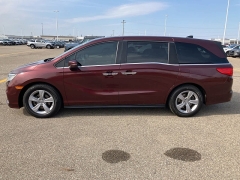 Used 2019 Honda Odyssey EX-L Auto at Maxx Loans near ,