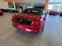 Used 2017  Ford Mustang 2d Convertible GT Premium at Maxx Loans near St&period; Adrian&comma; MI