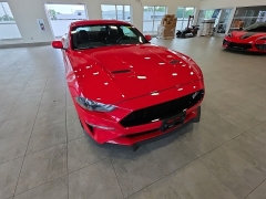 Used 2019  Ford Mustang GT Fastback at Maxx Loans near St&period; Adrian&comma; MI