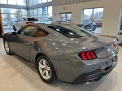Used 2024  Ford Mustang EcoBoost Fastback at Maxx Loans near St&period; Adrian&comma; MI