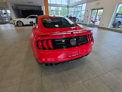 Used 2019  Ford Mustang GT Fastback at Maxx Loans near St&period; Adrian&comma; MI