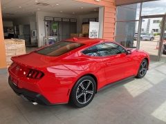 Used 2024 Ford Mustang EcoBoost Fastback at Suburban Ford of Sterling Heights near Sterling Heights, MI