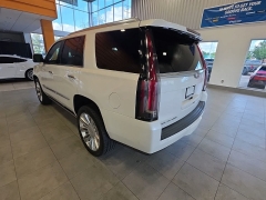 Used 2017  Cadillac Escalade 4d SUV 4WD Platinum at Maxx Loans near St&period; Adrian&comma; MI