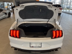 Used 2019  Ford Mustang EcoBoost Convertible at Maxx Loans near St. Adrian, MI