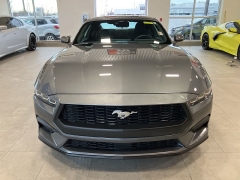 Used 2024  Ford Mustang EcoBoost Fastback at Maxx Loans near St&period; Adrian&comma; MI