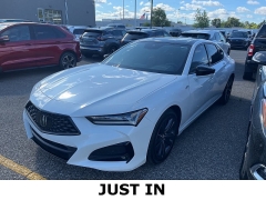 Used 2022 Acura TLX SH-AWD w/A-Spec Package at Maxx Loans near St. Adrian, MI