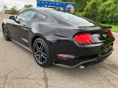 Used 2022 Ford Mustang EcoBoost Fastback at Suburban Ford of Sterling Heights near Sterling Heights, MI