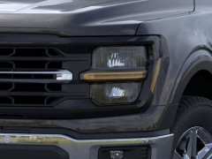 New 2024 Ford F-150 XLT 4WD SuperCrew Box at Suburban Ford of Sterling Heights near Sterling Heights, MI