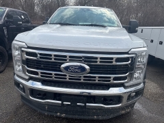 Used 2023  Ford Super Duty F-450 DRW 2WD Reg Cab WB CA at Maxx Loans near St&period; Adrian&comma; MI