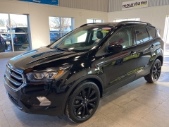Used 2019  Ford Escape 4d SUV FWD SE at Maxx Loans near St&period; Adrian&comma; MI