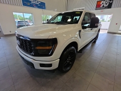  2024 Ford F-150 4WD STX SuperCrew 5&period;5' Box at Maxx Loans near St&period; Adrian&comma; MI