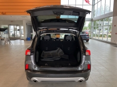Used 2021 Ford Escape Titanium Hybrid AWD at Maxx Loans near St. Adrian, MI