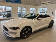 Used 2019  Ford Mustang EcoBoost Convertible at Maxx Loans near St. Adrian, MI