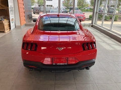 Used 2024 Ford Mustang EcoBoost Fastback at Suburban Ford of Sterling Heights near Sterling Heights, MI