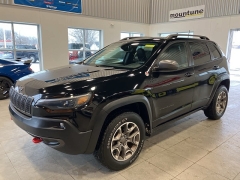 Used 2020  Jeep Cherokee Trailhawk 4x4 at Maxx Loans near St&period; Adrian&comma; MI