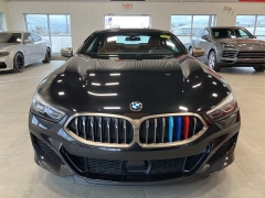 Used 2019  BMW 8 Series M850i xDrive Coupe at Maxx Loans near St&period; Adrian&comma; MI