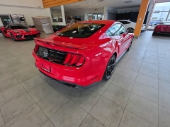 Used 2019  Ford Mustang GT Fastback at Maxx Loans near St&period; Adrian&comma; MI