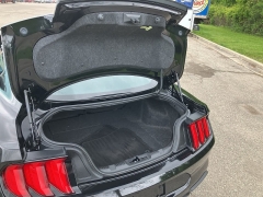 Used 2022 Ford Mustang EcoBoost Fastback at Suburban Ford of Sterling Heights near Sterling Heights, MI