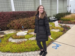 Used 2017  Ford Taurus SEL FWD at Maxx Loans near St. Adrian, MI