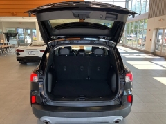 Used 2022 Ford Escape Titanium AWD at Maxx Loans near St. Adrian, MI