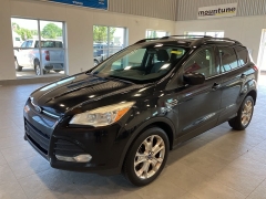 Used 2013 Ford Escape 4d SUV 4WD SE at Maxx Loans near St. Adrian, MI