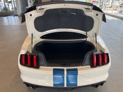 Used 2020 Ford Mustang Shelby Fastback at Suburban Ford of Sterling Heights near Sterling Heights, MI