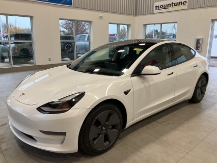2021 Tesla Model 3 Base's photo