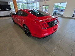 Used 2019  Ford Mustang GT Fastback at Maxx Loans near St&period; Adrian&comma; MI