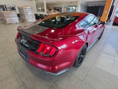 Used 2017  Ford Mustang GT Fastback at Maxx Loans near St&period; Adrian&comma; MI