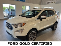 Used 2022 Ford EcoSport Titanium 4WD at Maxx Loans near St. Adrian, MI
