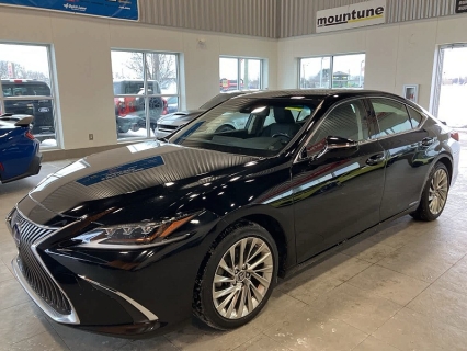 2019 Lexus ES Hybrid 300h's photo