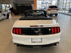 Used 2019  Ford Mustang EcoBoost Convertible at Maxx Loans near St. Adrian, MI