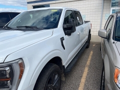 Used 2023 Ford F-150 4WD SuperCrew Box at Suburban Ford of Sterling Heights near Sterling Heights, MI