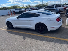 Used 2015  Ford Mustang 2dr Fastback EcoBoost at Maxx Loans near St&period; Adrian&comma; MI