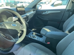 Used 2020 Ford Escape 4d SUV AWD SE at Suburban Ford of Sterling Heights near Sterling Heights, MI