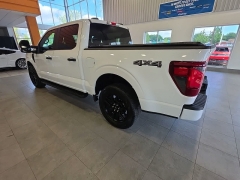 Used 2024  Ford F-150 4WD STX SuperCrew 5&period;5' Box at Maxx Loans near St&period; Adrian&comma; MI