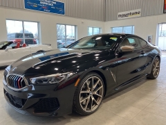  2019 BMW 8 Series M850i xDrive Coupe at Maxx Loans near St&period; Adrian&comma; MI