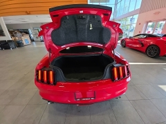 Used 2017  Ford Mustang GT Fastback at Maxx Loans near St&period; Adrian&comma; MI