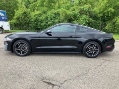 Used 2022 Ford Mustang EcoBoost Fastback at Suburban Ford of Sterling Heights near Sterling Heights, MI