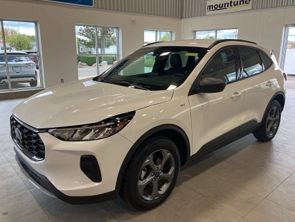 2025 Ford Escape ST-Line's photo