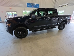 Used 2024  Ford F-150 XLT 4WD SuperCrew 5&period;5' Box at Maxx Loans near St&period; Adrian&comma; MI