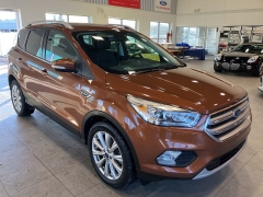 Used 2017  Ford Escape 4d SUV FWD Titanium at Maxx Loans near St. Adrian, MI