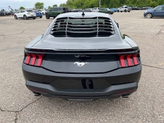 Used 2024 Ford Mustang EcoBoost Fastback at Suburban Ford of Sterling Heights near Sterling Heights, MI